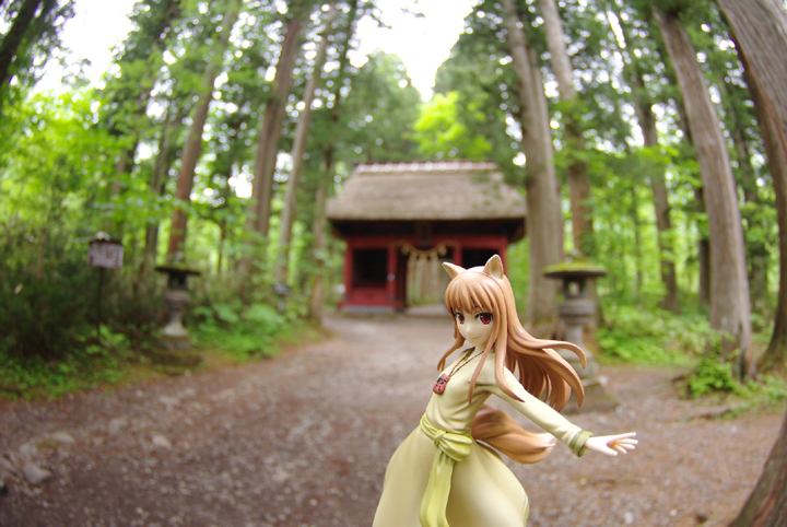 090606_horo19.jpg